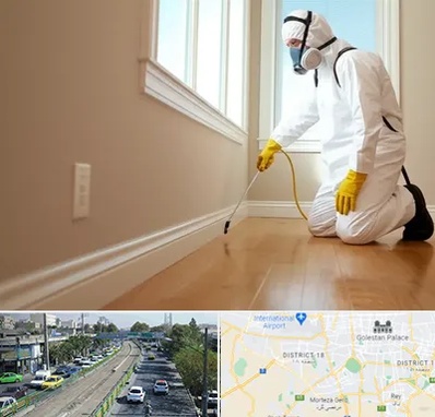 سمپاشی منازل در جنوب تهران 