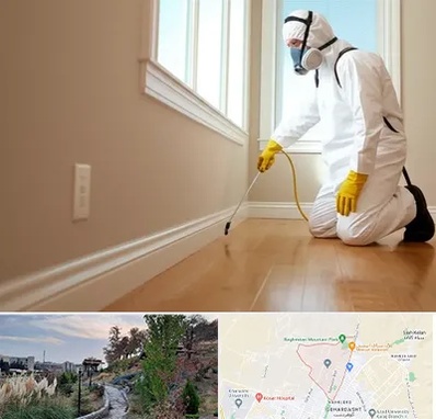 سمپاشی منازل در باغستان کرج 