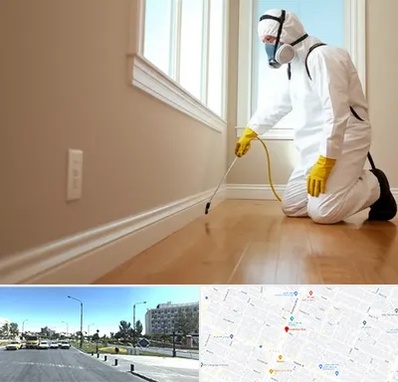 سمپاشی منازل در بلوار کلاهدوز مشهد 