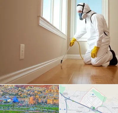 سمپاشی منازل در رشدیه تبریز 