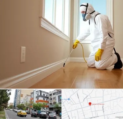 سمپاشی منازل در هفده شهریور تبریز 