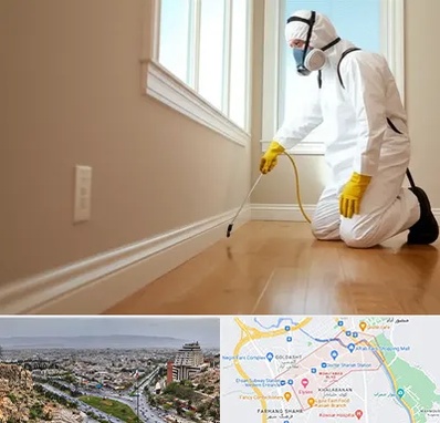 سمپاشی منازل در معالی آباد شیراز 