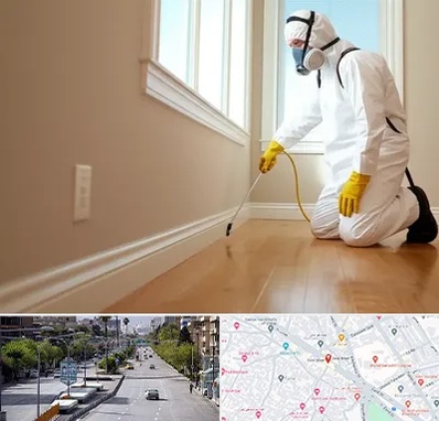 سمپاشی منازل در خیابان زند شیراز 