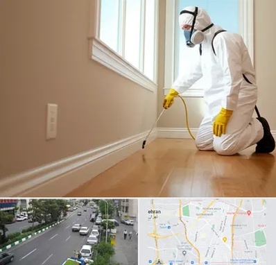 سمپاشی منازل در ستارخان 