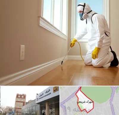 سمپاشی منازل در شهرک شریعتی