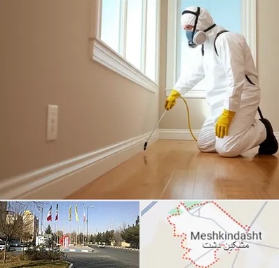 سمپاشی منازل در مشکین دشت