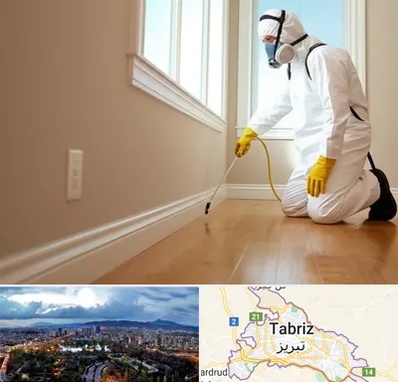 سمپاشی منازل در تبریز