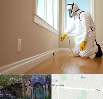 سمپاشی منازل در بریانک