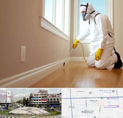 سمپاشی منازل در مرکز تهران 