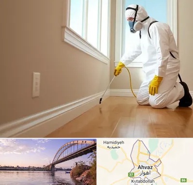 سمپاشی منازل در اهواز