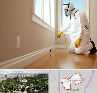 سمپاشی منازل در نیروی هوایی