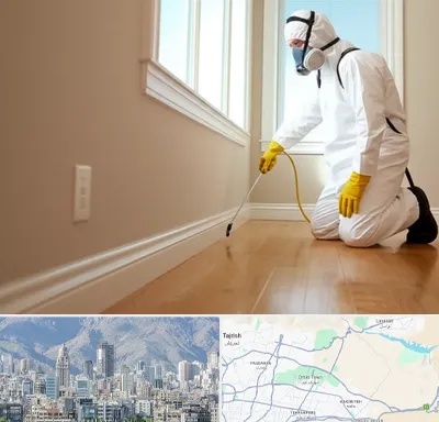 سمپاشی منازل در شمال شرق تهران