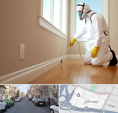 سمپاشی منازل در مجیدیه شمالی
