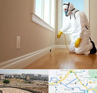 سمپاشی منازل در کوی وحدت شیراز 