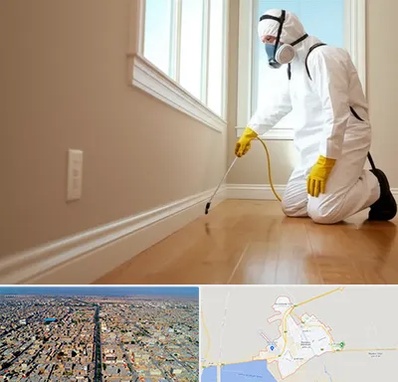 سمپاشی منازل در بندر ماهشهر