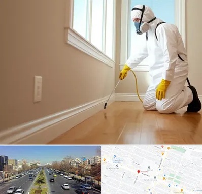 سمپاشی منازل در بلوار معلم مشهد 