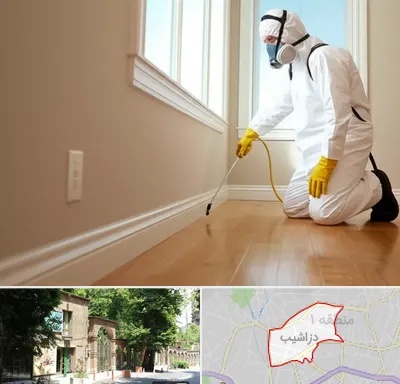 سمپاشی منازل در دزاشیب
