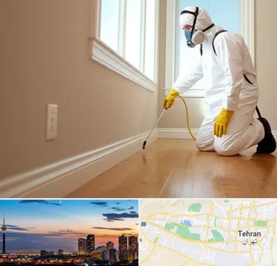 سمپاشی منازل در غرب تهران 