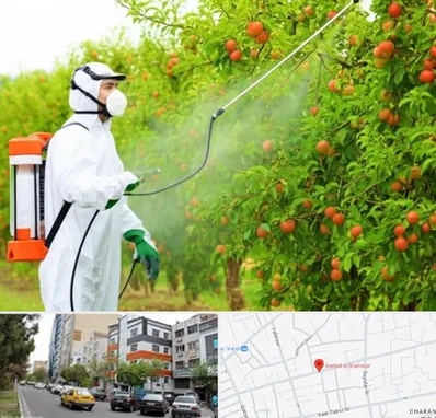 سمپاشی درختان در هفده شهریور تبریز 