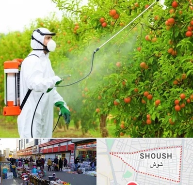سمپاشی درختان در شوش