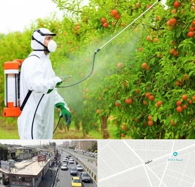 سمپاشی درختان در خیابان دماوند