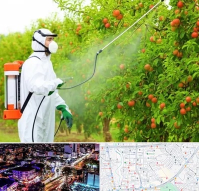 سمپاشی درختان در منظریه رشت 