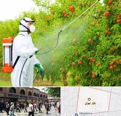 سمپاشی درختان در بازار تهران