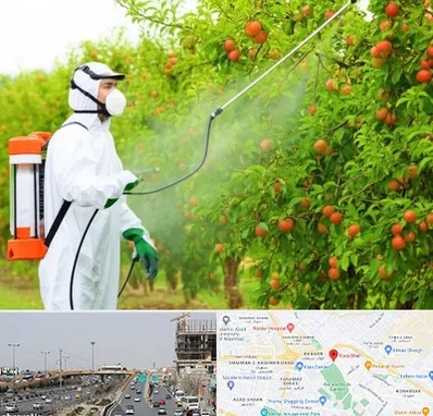 سمپاشی درختان در بلوار توس مشهد 