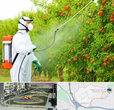 سمپاشی درختان در مرزداران تبریز 