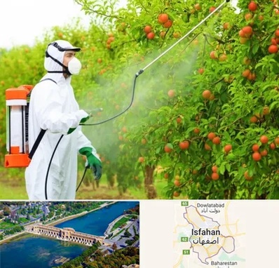 سمپاشی درختان در اصفهان