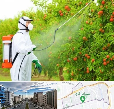 سمپاشی درختان در سعادت آباد 