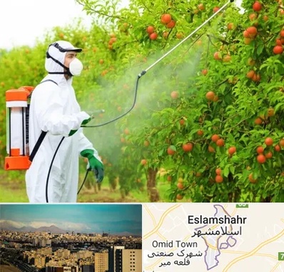 سمپاشی درختان در اسلامشهر