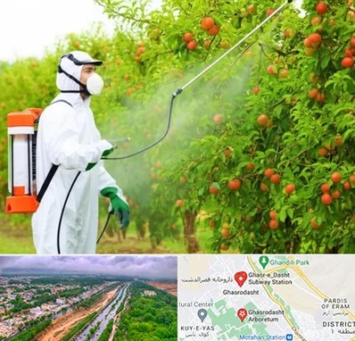 سمپاشی درختان در قصرالدشت شیراز 