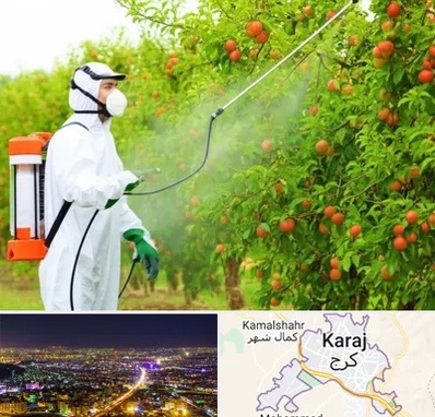 سمپاشی درختان در کرج