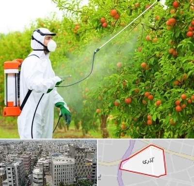 سمپاشی درختان در آذری