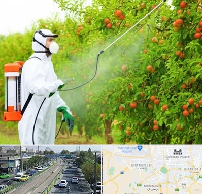 سمپاشی درختان در جنوب تهران 