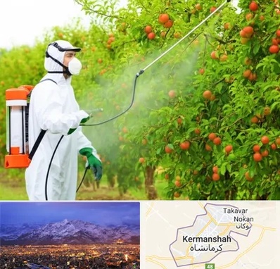 سمپاشی درختان در کرمانشاه