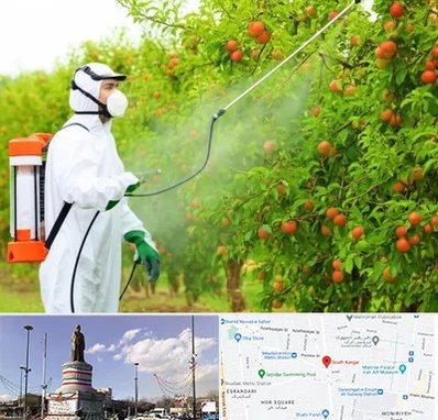 سمپاشی درختان در کارگر جنوبی