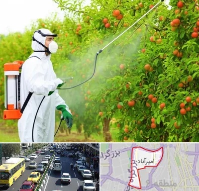 سمپاشی درختان در امیرآباد