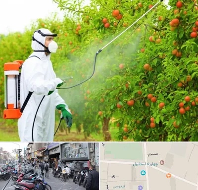 سمپاشی درختان در چهارراه استانبول