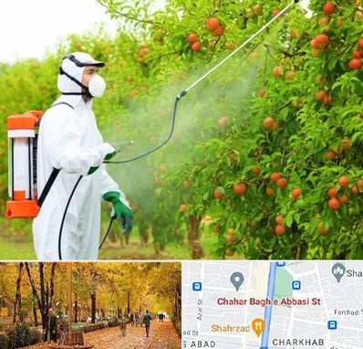 سمپاشی درختان در چهارباغ اصفهان 