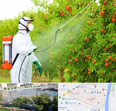 سمپاشی درختان در گلستان اهواز 