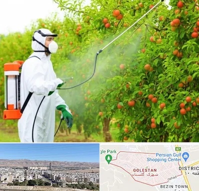 سمپاشی درختان در شهرک گلستان شیراز 