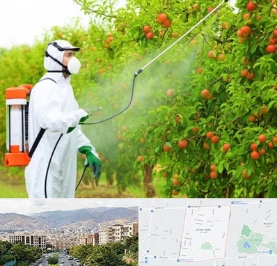 سمپاشی درختان در خانی آباد