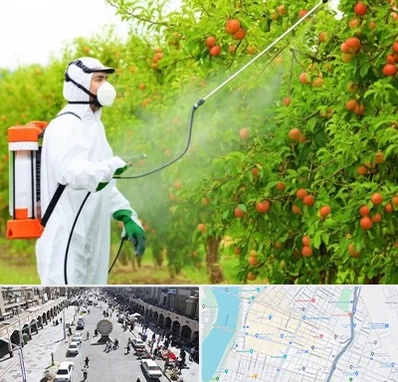 سمپاشی درختان در نادری اهواز 