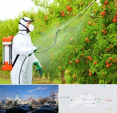 سمپاشی درختان در ماهدشت کرج 