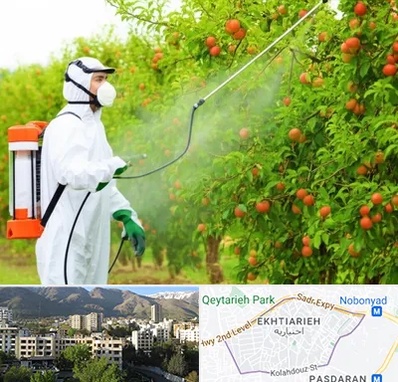 سمپاشی درختان در اختیاریه