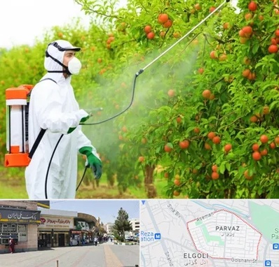 سمپاشی درختان در پرواز تبریز 