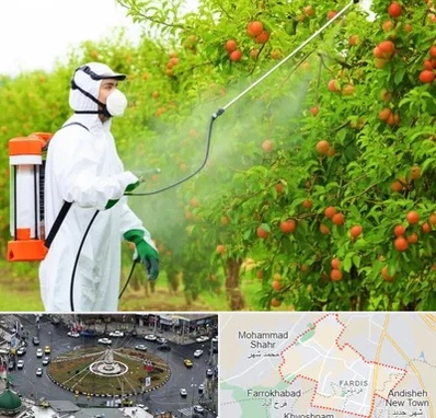 سمپاشی درختان در فردیس کرج 