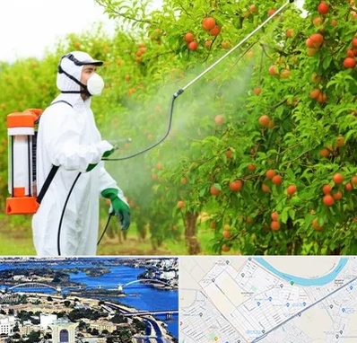 سمپاشی درختان در کوروش اهواز 